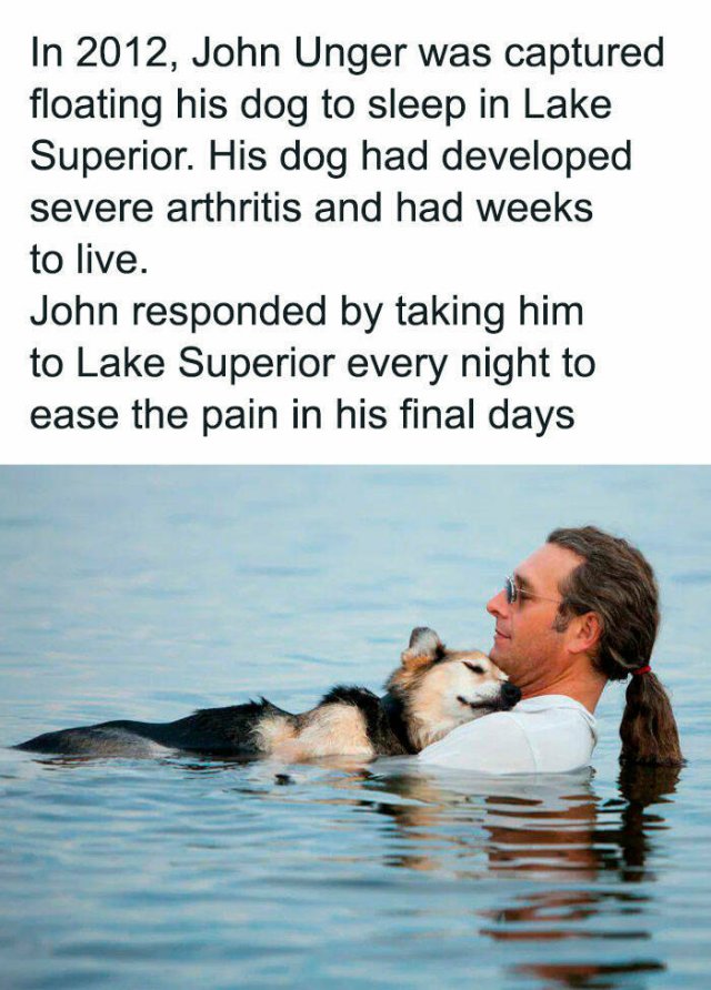 Jokes For Dog Lovers (24 pics)