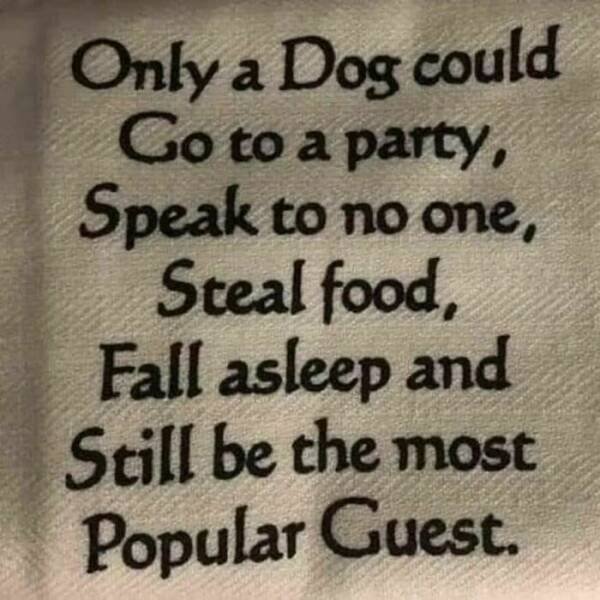 Jokes For Dog Lovers (24 pics)