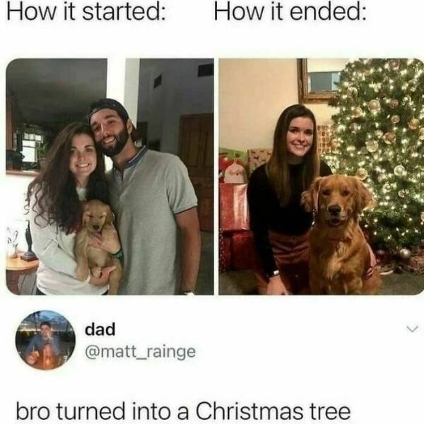 Jokes For Dog Lovers (24 pics)