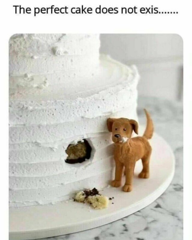 Jokes For Dog Lovers (24 pics)