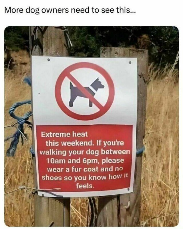 Jokes For Dog Lovers (24 pics)