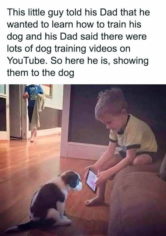 Jokes For Dog Lovers (24 pics)