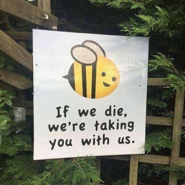 Random Posts For Good Mood (29 pics)