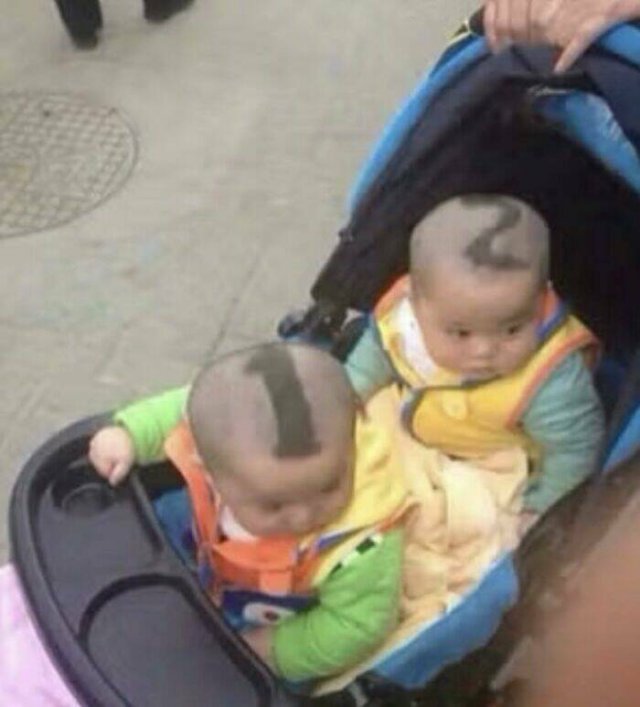 Wild Haircuts (24 pics)