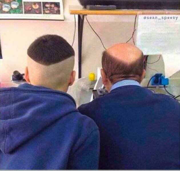 Wild Haircuts (24 pics)