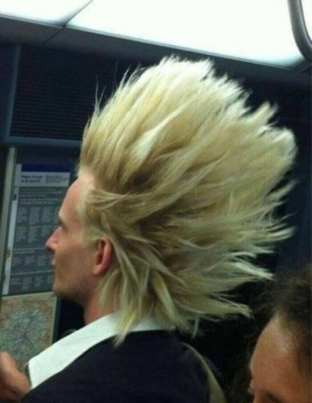 Wild Haircuts (24 pics)