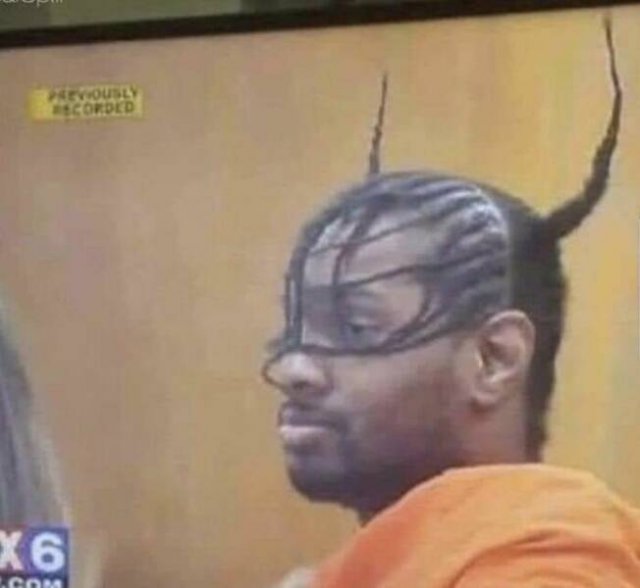 Wild Haircuts (24 pics)