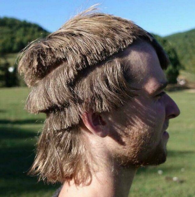 Wild Haircuts (24 pics)