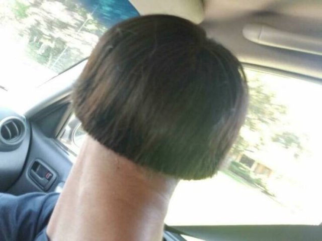 Wild Haircuts (24 pics)