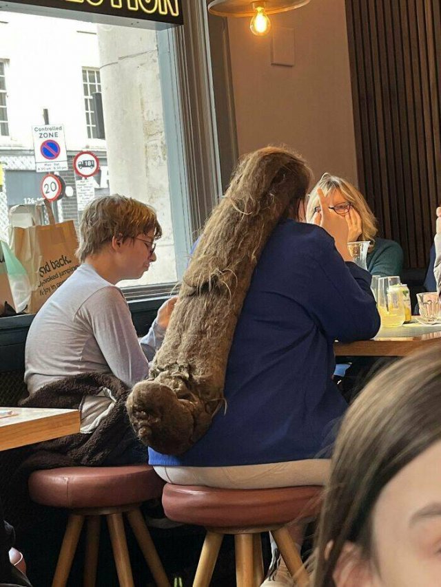 Wild Haircuts (24 pics)