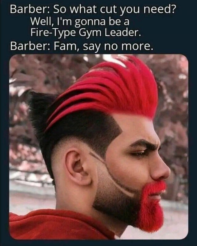 Wild Haircuts (24 pics)