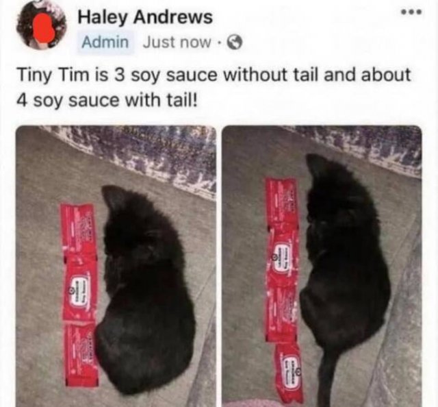 Kind Jokes (25 pics)