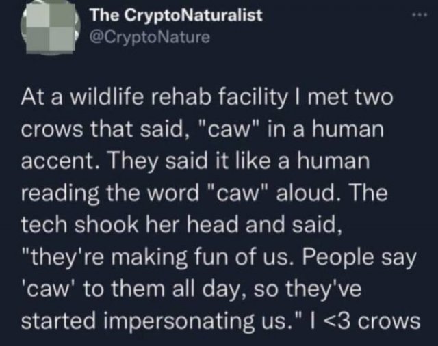 Kind Jokes (25 pics)
