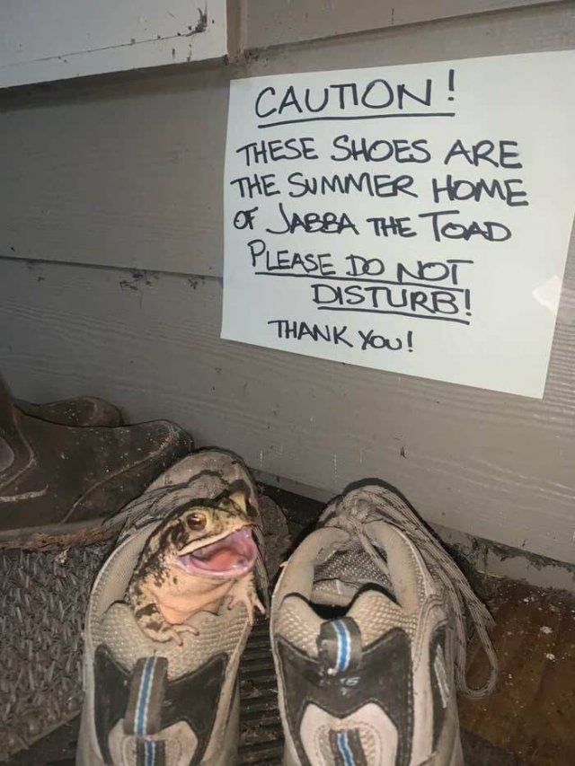 Kind Jokes (25 pics)