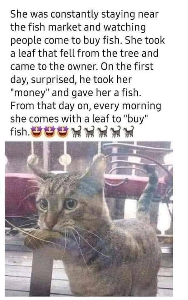 Kind Jokes (25 pics)