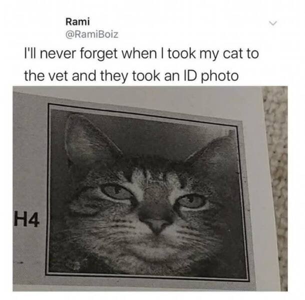 Kind Jokes (25 pics)