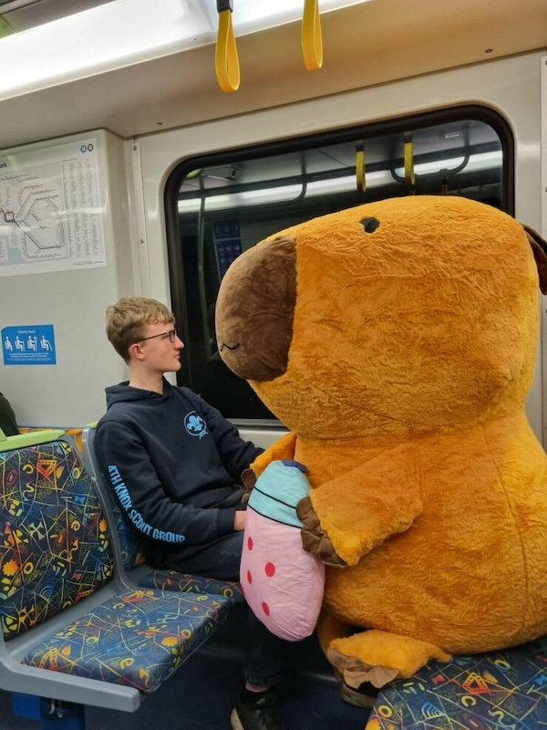 Odd People In The Subway (38 pics)