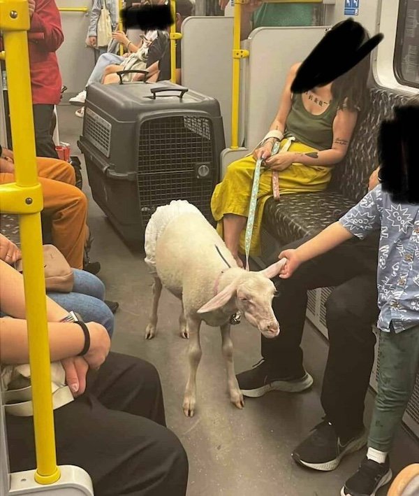 Odd People In The Subway (38 pics)