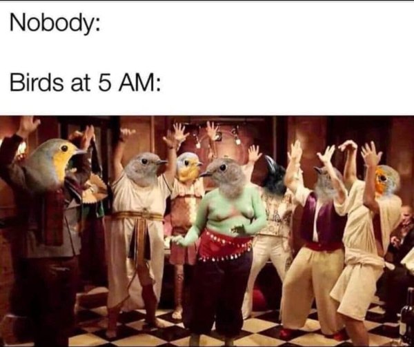 Funny Memes (23 pics)