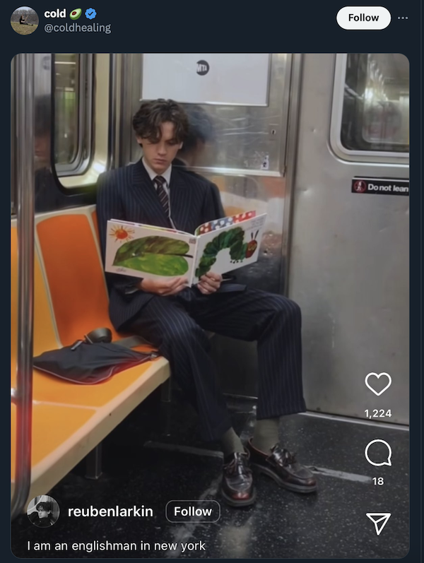 Odd People In The Subway (38 pics)