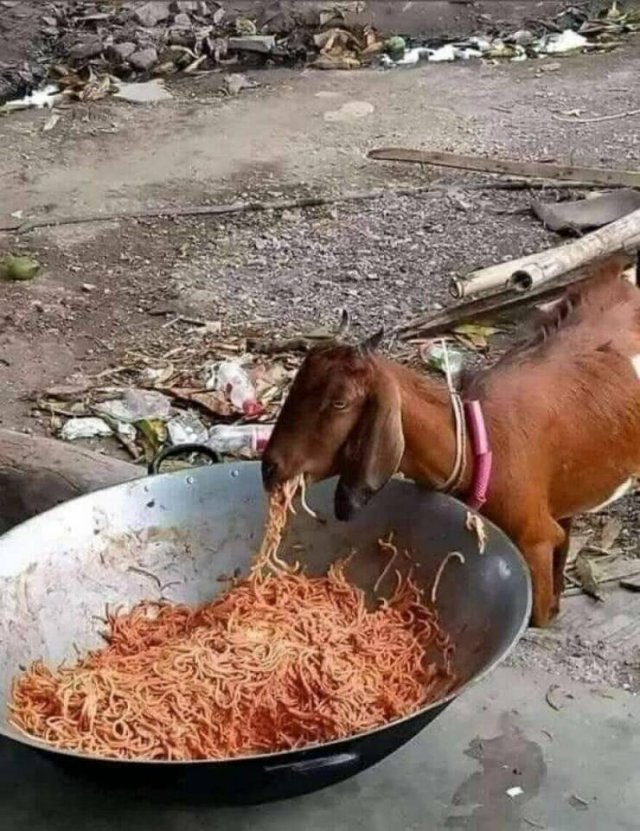 What Is Going On Here? (27 pics)