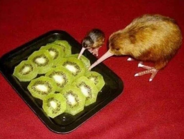 What Is Going On Here? (27 pics)