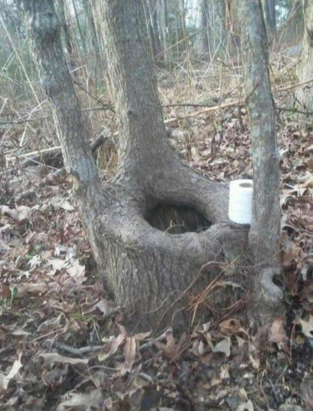 What Is Going On Here? (27 pics)