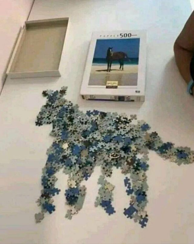 What Is Going On Here? (27 pics)