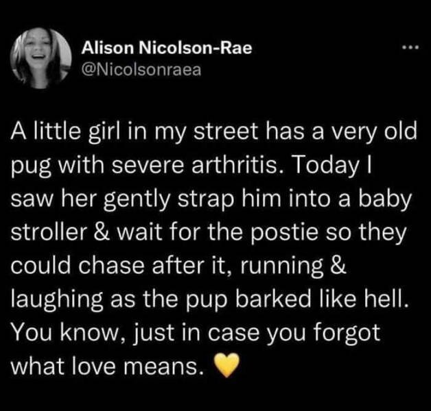 Heartwarming Stories (23 pics)