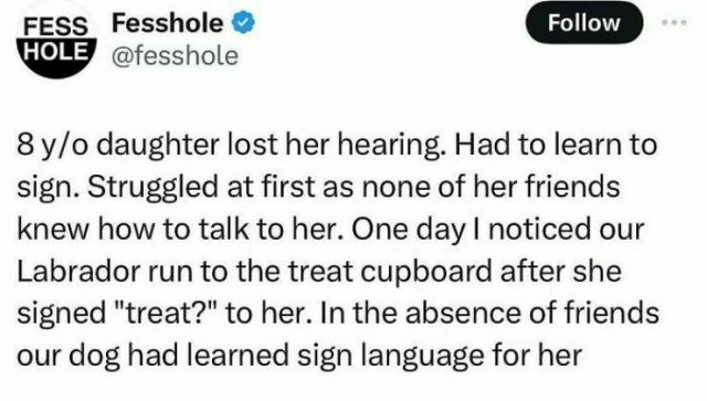 Heartwarming Stories (23 pics)