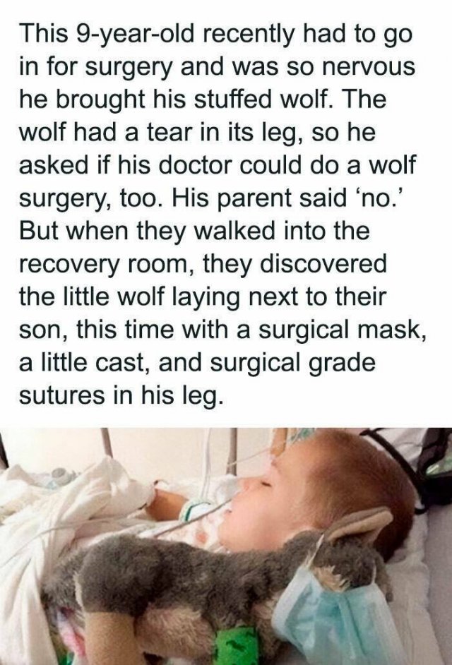 Heartwarming Stories (23 pics)