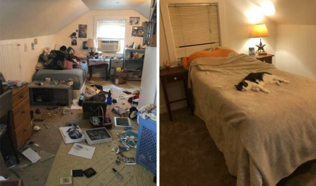 Before And After Cleaning (20 pics)