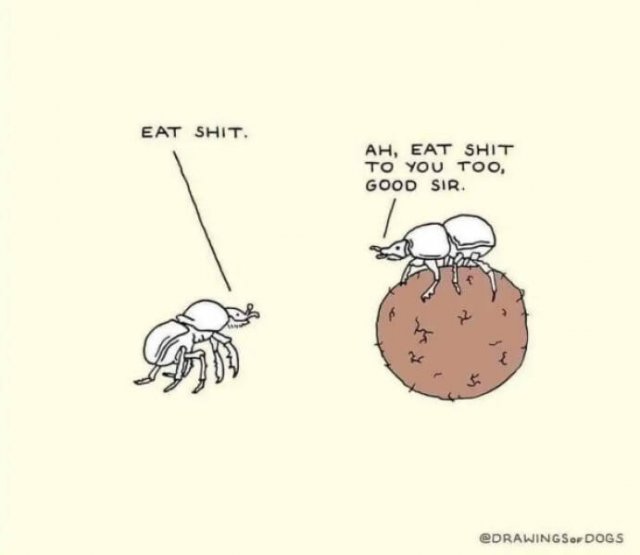 Funny Memes (20 pics)