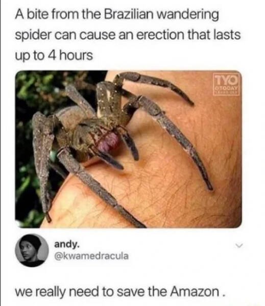 Funny Memes (20 pics)