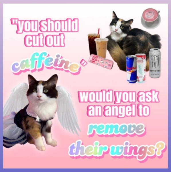 Funny Memes (20 pics)