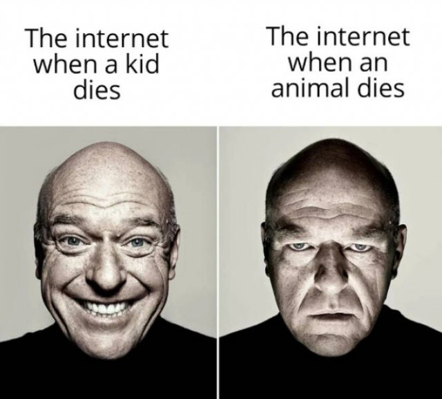 Funny Memes (20 pics)