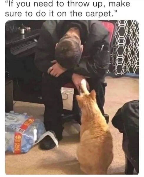 Funny Memes (20 pics)