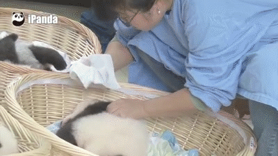 Surprising Facts (16 gifs) Surprising Facts (16 gifs)