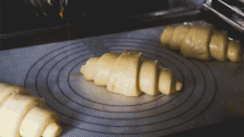 Surprising Facts (16 gifs) Surprising Facts (16 gifs)