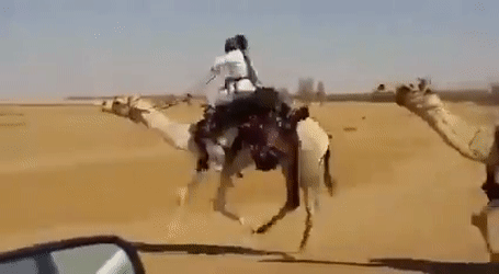 Surprising Facts (16 gifs) Surprising Facts (16 gifs)