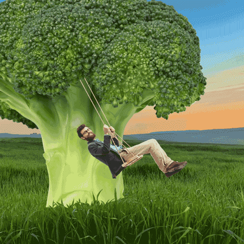 Random Facts (15 gifs) Random Facts (15 gifs)