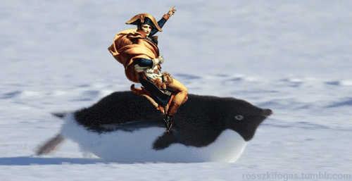 Random Facts (15 gifs) Random Facts (15 gifs)