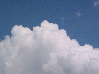 Intriguing Facts (15 gifs) Intriguing Facts (15 gifs)