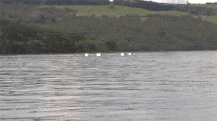 Intriguing Facts (15 gifs) Intriguing Facts (15 gifs)