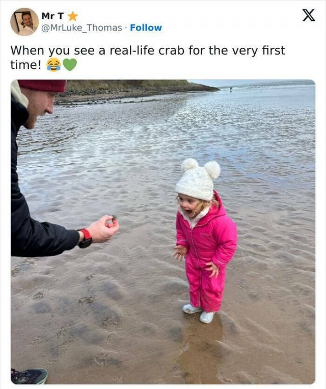 Heartwarming Moments (24 pics)