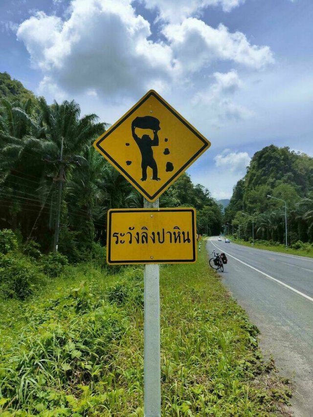 Weird And Creepy Signs (15 pics)