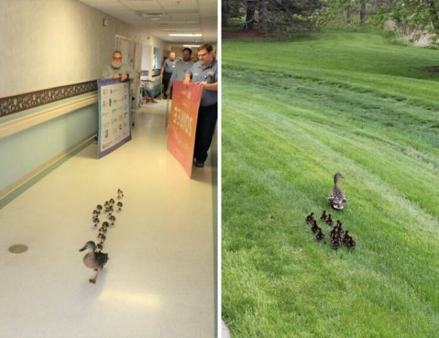 Heartwarming Moments (24 pics)