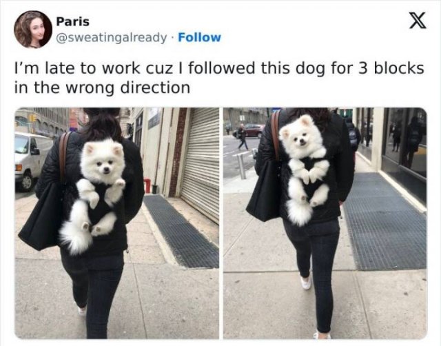 Heartwarming Moments (24 pics)
