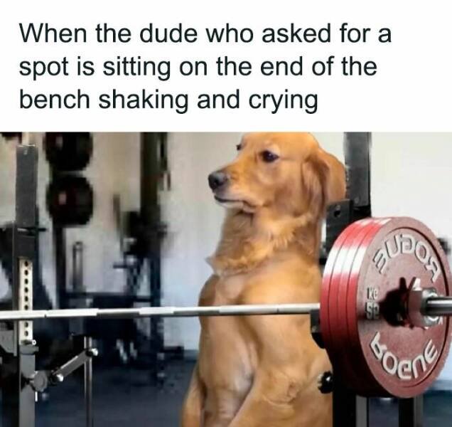 Memes For Athletes (22 pics)