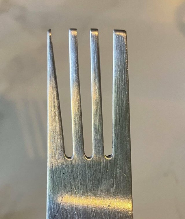What Are These Things (15 pics)